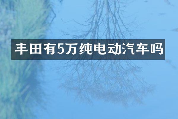 丰田有5万纯电动汽车吗