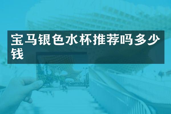 宝马银色水杯推荐吗多少钱