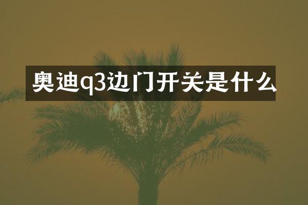 奥迪q3边门开关是什么