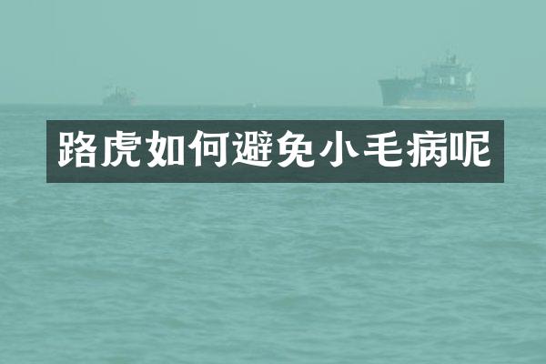 路虎如何避免小毛病呢