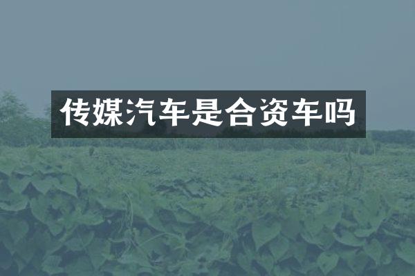 传媒汽车是合资车吗