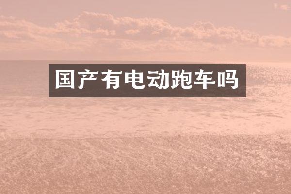 国产有电动跑车吗