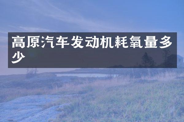 高原汽车发动机耗氧量多少