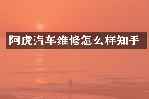 阿虎汽车维修怎么样知乎