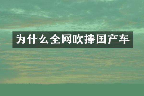 为什么全网吹捧国产车