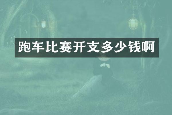跑车比赛开支多少钱啊
