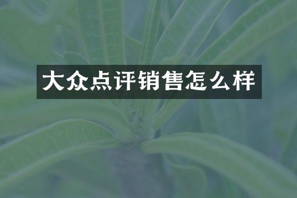 大众点评销售怎么样