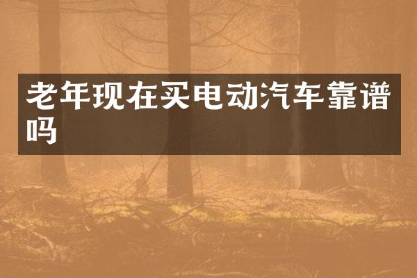 老年现在买电动汽车靠谱吗
