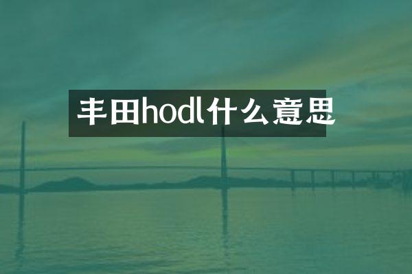 丰田hodl什么意思