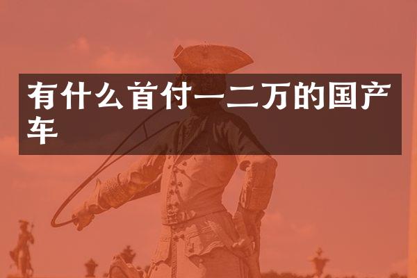 有什么首付一二万的国产车