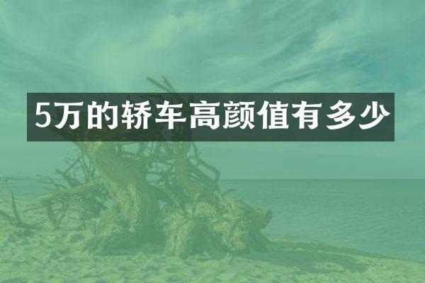 5万的轿车高颜值有多少