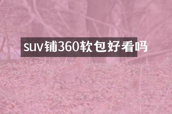 suv铺360软包好看吗