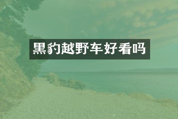 黑豹越野车好看吗