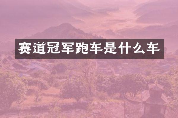 赛道冠军跑车是什么车