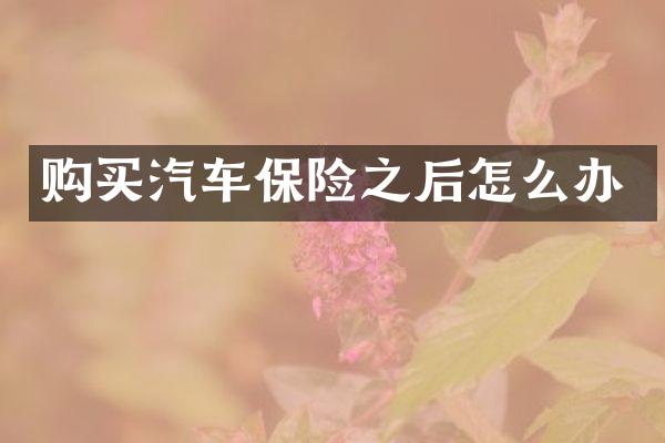 购买汽车保险之后怎么办