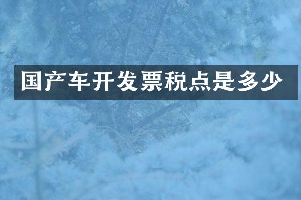 国产车开发票税点是多少