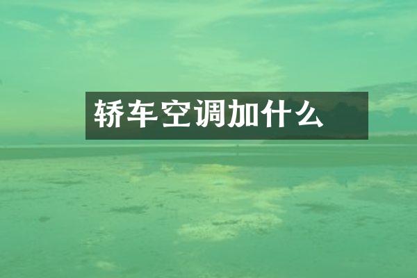 轿车空调加什么坲