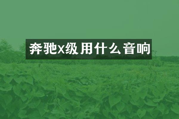 奔驰x级用什么音响