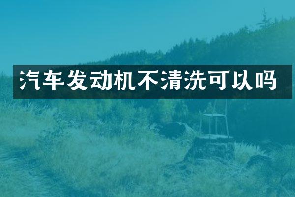 汽车发动机不清洗可以吗