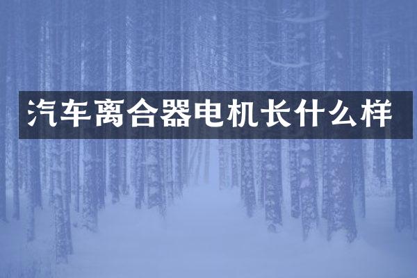 汽车离合器电机长什么样