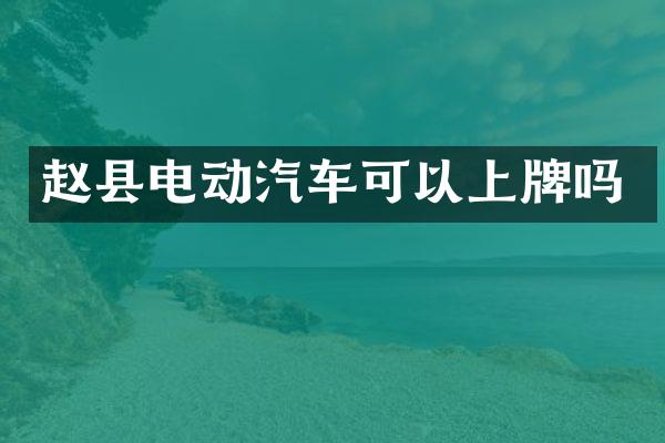 赵县电动汽车可以上牌吗