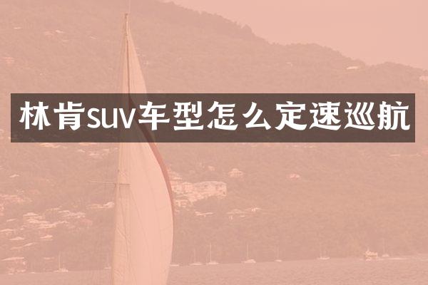 林肯suv车型怎么定速巡航