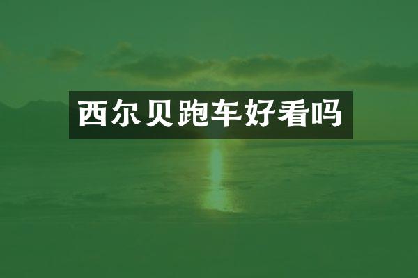 西尔贝跑车好看吗