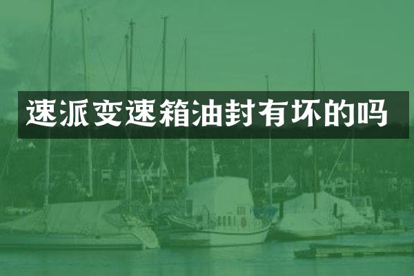 速派变速箱油封有坏的吗