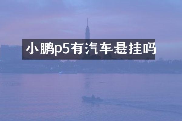 小鹏p5有汽车悬挂吗