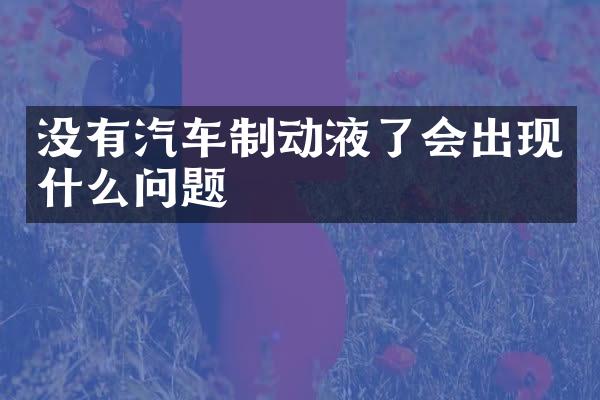 没有汽车制动液了会出现什么问题