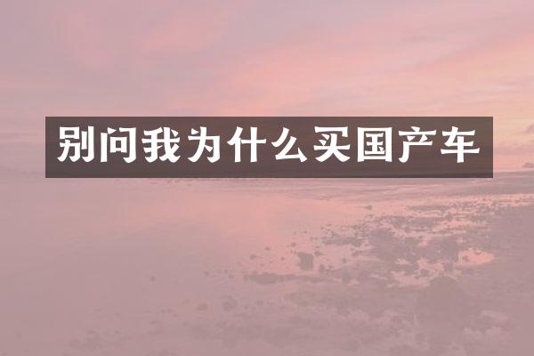 别问我为什么买国产车