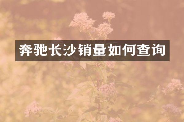 奔驰长沙销量如何查询