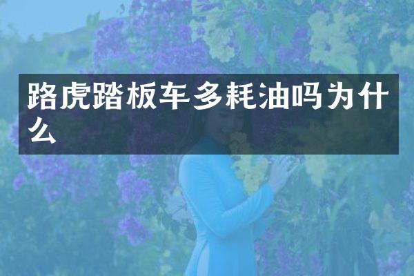 路虎踏板车多耗油吗为什么