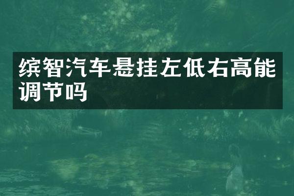 缤智汽车悬挂左低右高能调节吗