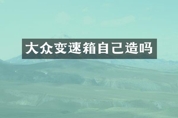 大众变速箱自己造吗