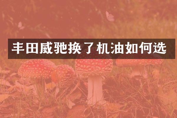 丰田威驰换了机油如何选