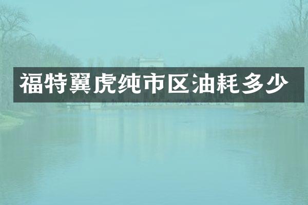 福特翼虎纯市区油耗多少