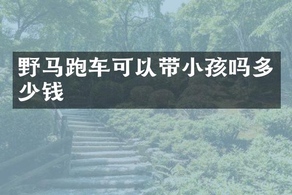 野马跑车可以带小孩吗多少钱