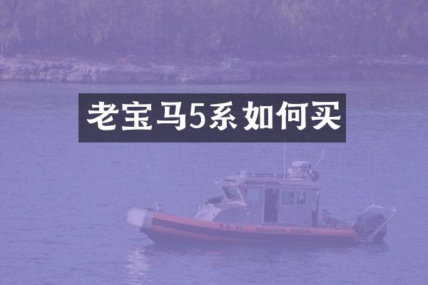 老宝马5系如何买