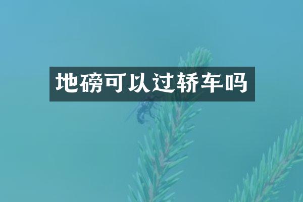 地磅可以过轿车吗