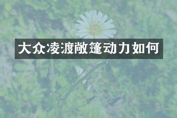 大众凌渡敞篷动力如何