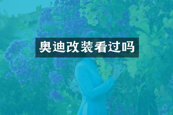 奥迪改装看过吗