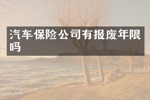 汽车保险公司有报废年限吗