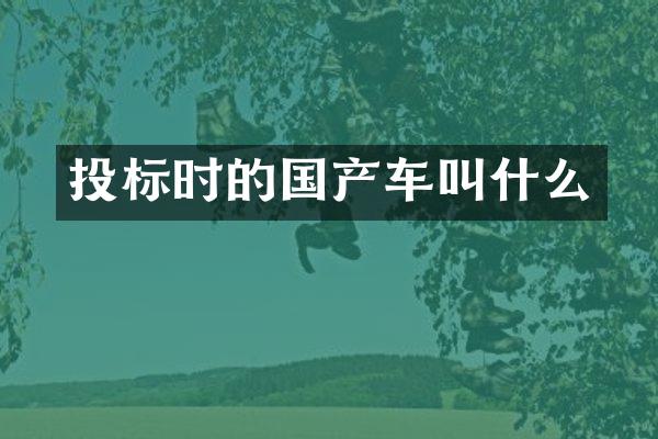 投标时的国产车叫什么
