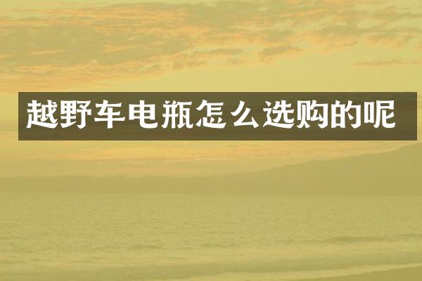 越野车电瓶怎么选购的呢
