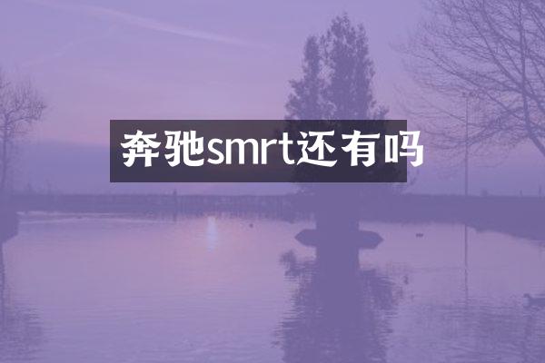 奔驰smrt还有吗