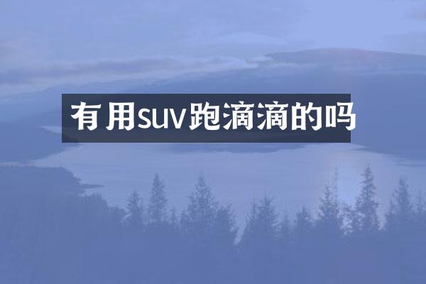 有用suv跑滴滴的吗