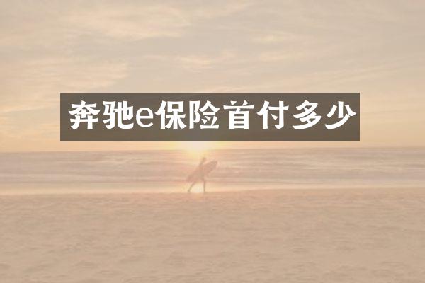 奔驰e保险首付多少