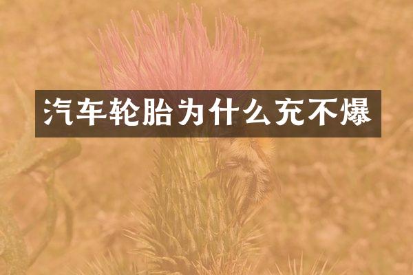 汽车轮胎为什么充不爆