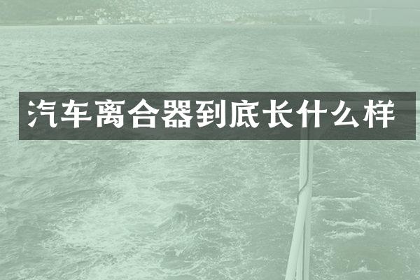 汽车离合器到底长什么样